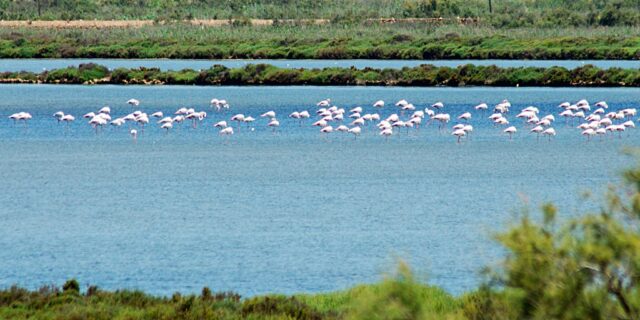 Las salinas